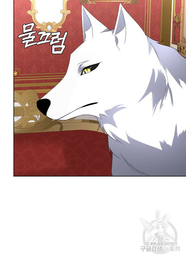 남주를 임시보호 중입니다 14화 63