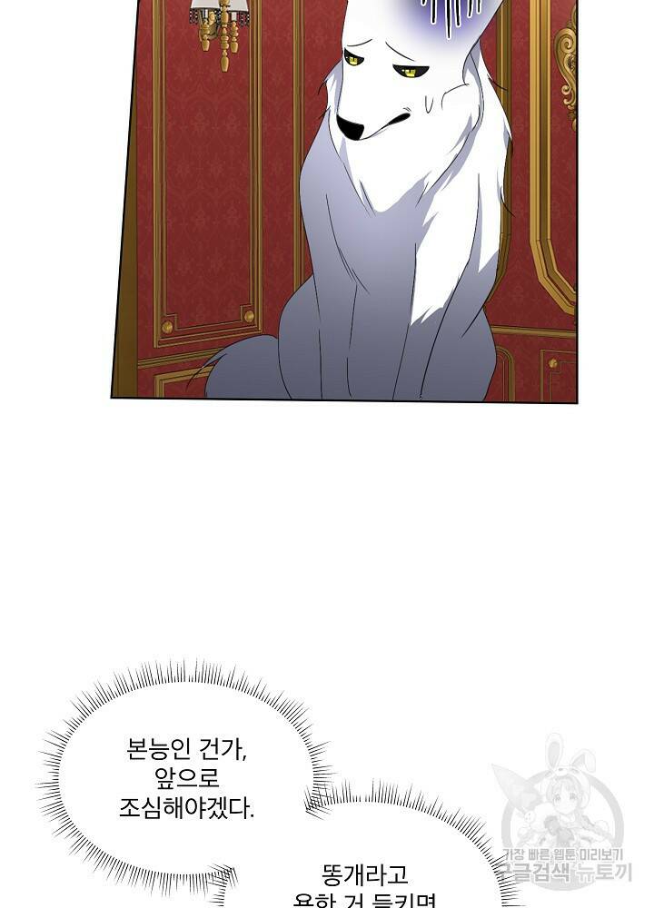 남주를 임시보호 중입니다 14화 77