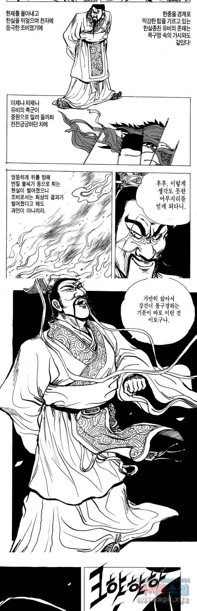 박봉성 삼국지 4부 12권 49