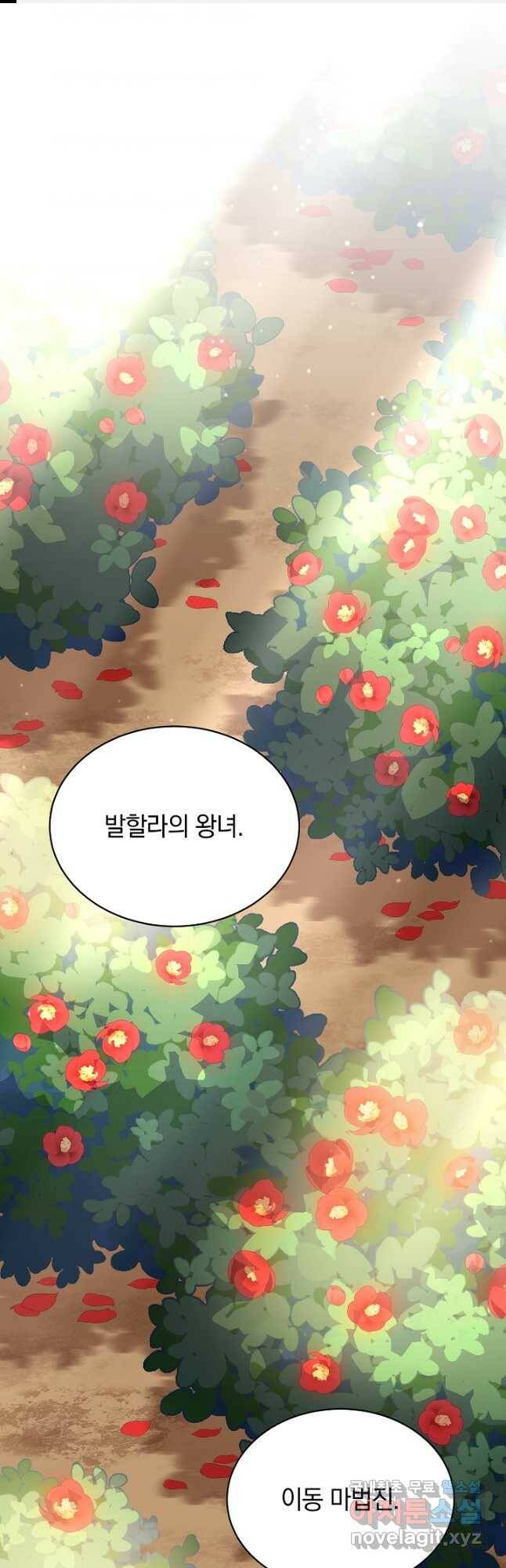 흰 족제비 양에게 죽음을! 48화 1