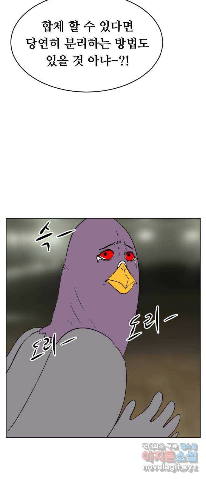 언덕 위의 제임스 358화 비둘기 전쟁 (4) 20