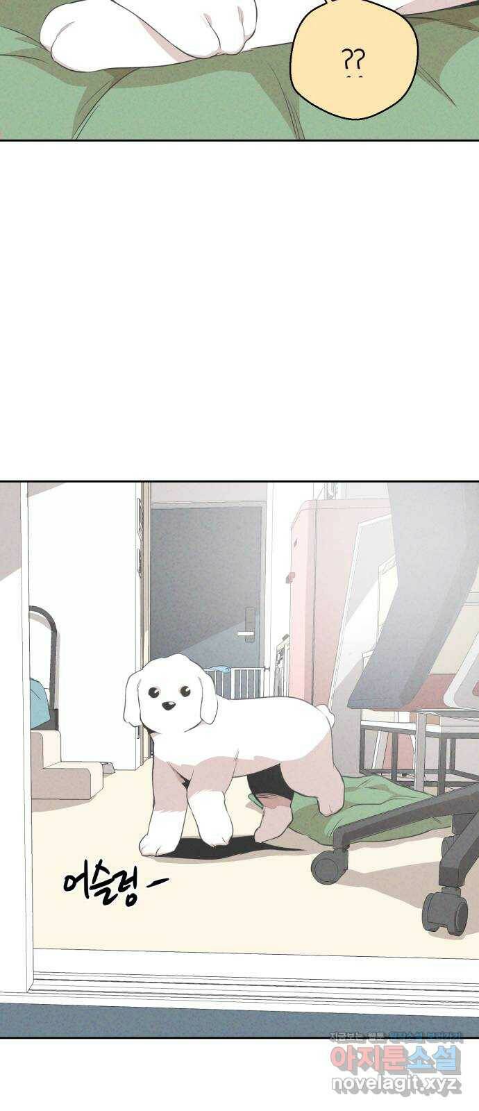 개와 사람의 시간 29화 34