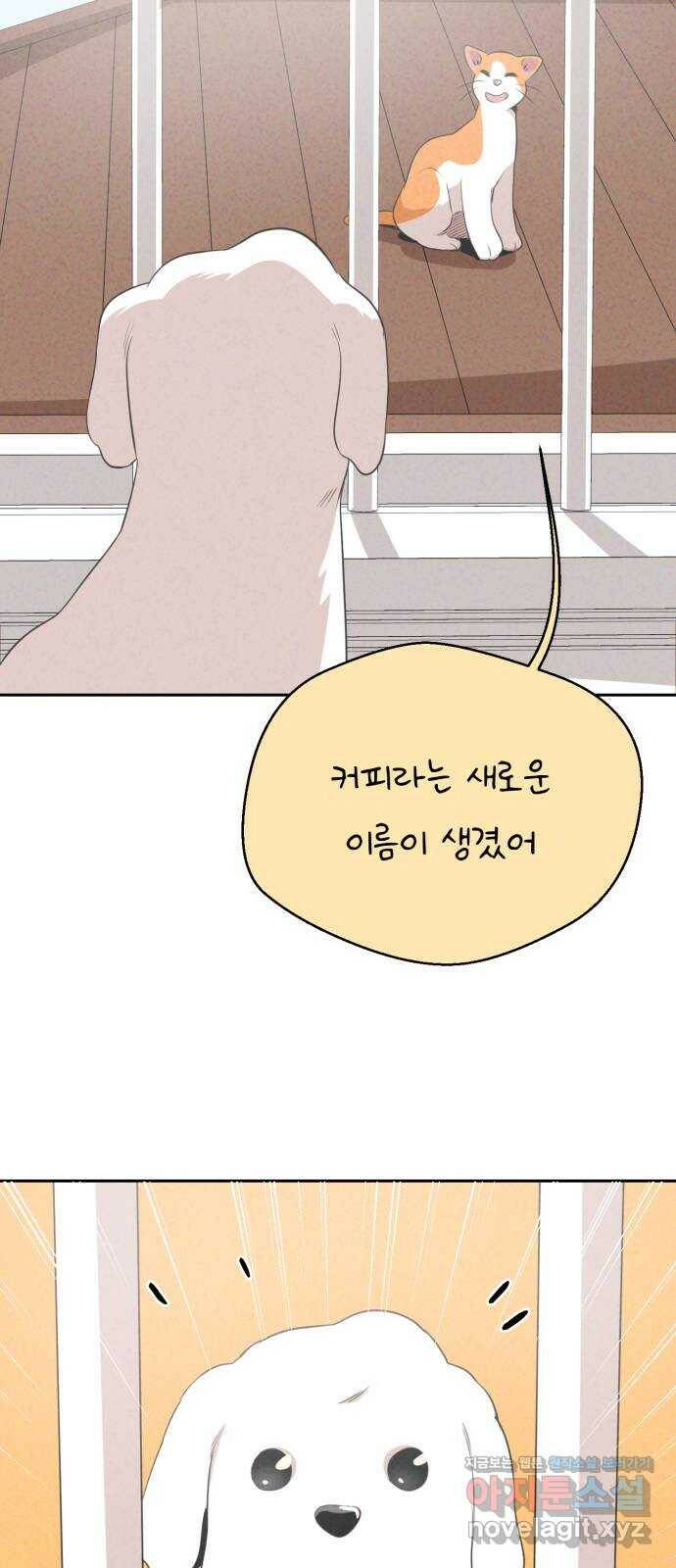 개와 사람의 시간 29화 43