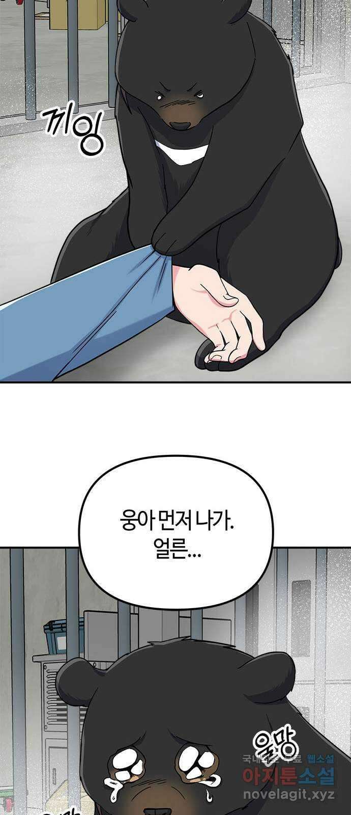 베어케어 40화 50