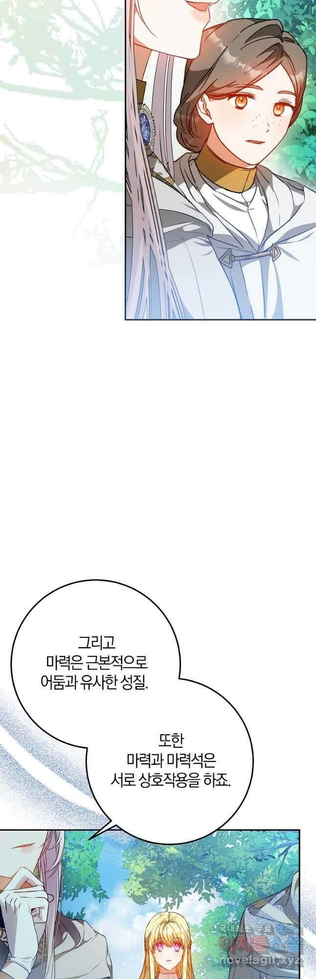 내 남자 주인공의 아내가 되었다 65화 9