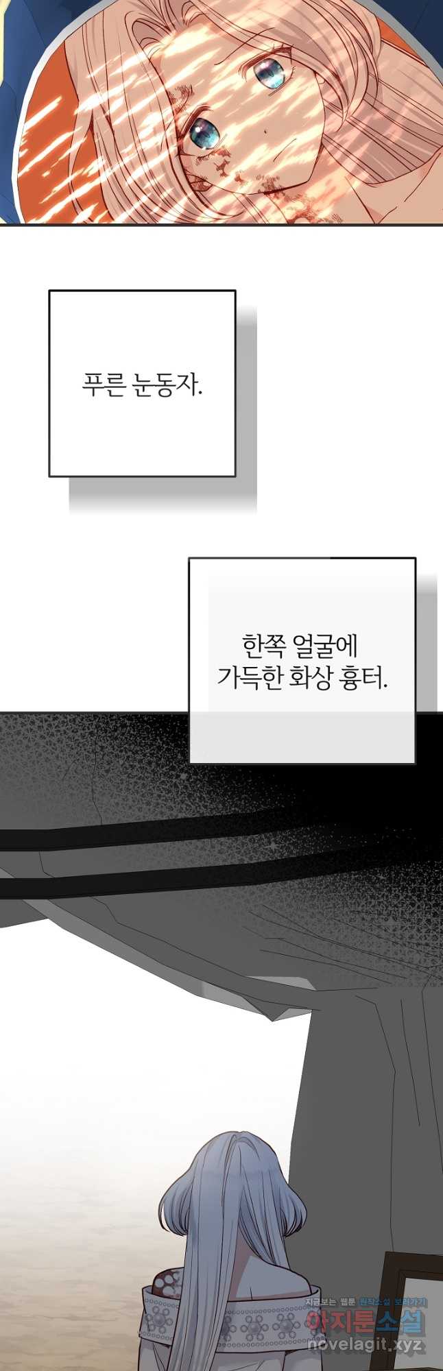 괴물 황태자의 아내가 되었습니다 73화 44