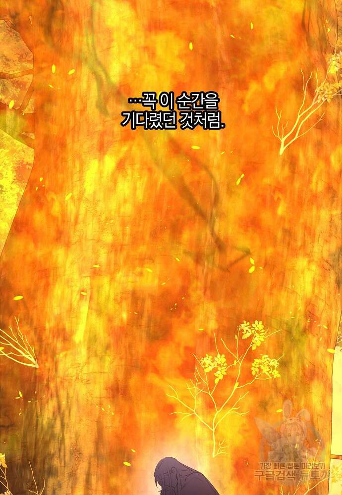 황금숲 87화 62