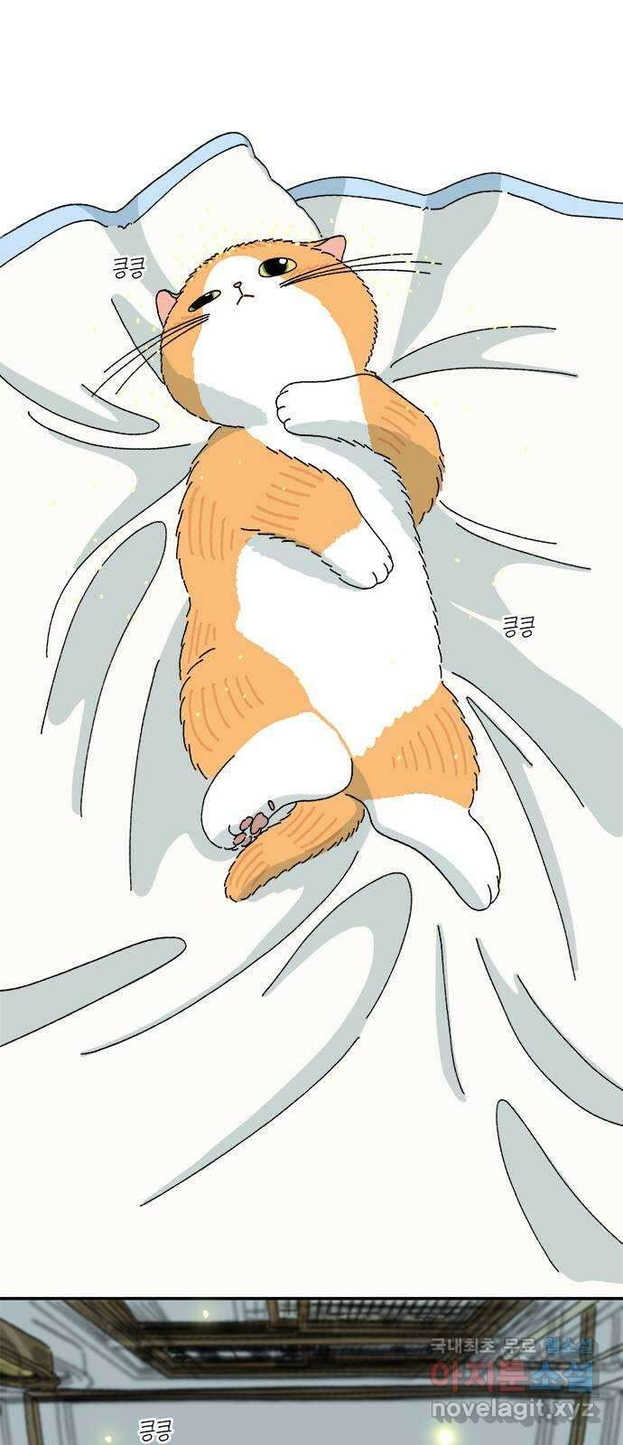고양이 타타 3화 1