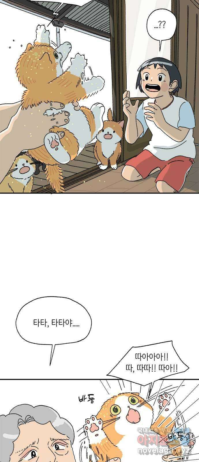 고양이 타타 3화 10