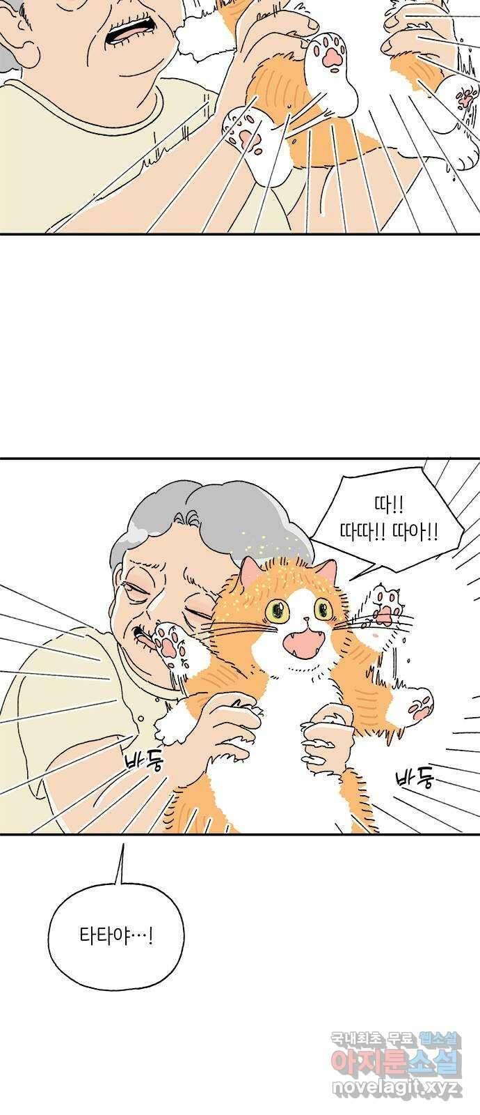 고양이 타타 3화 11