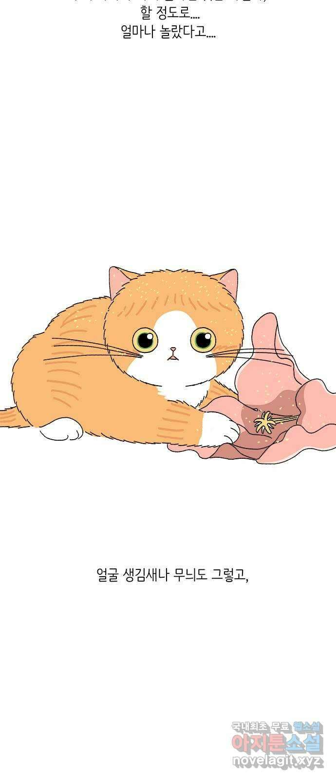 고양이 타타 3화 36