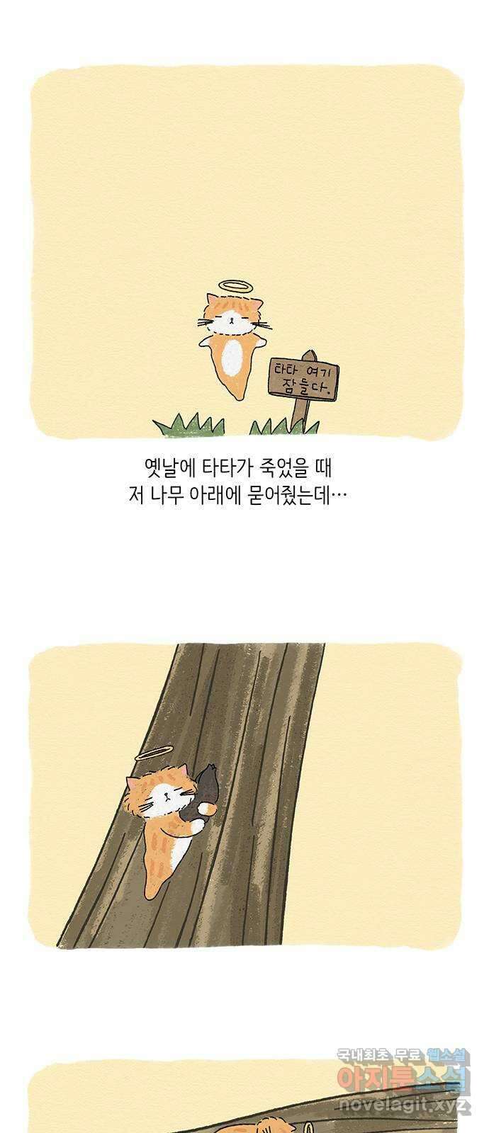 고양이 타타 3화 40