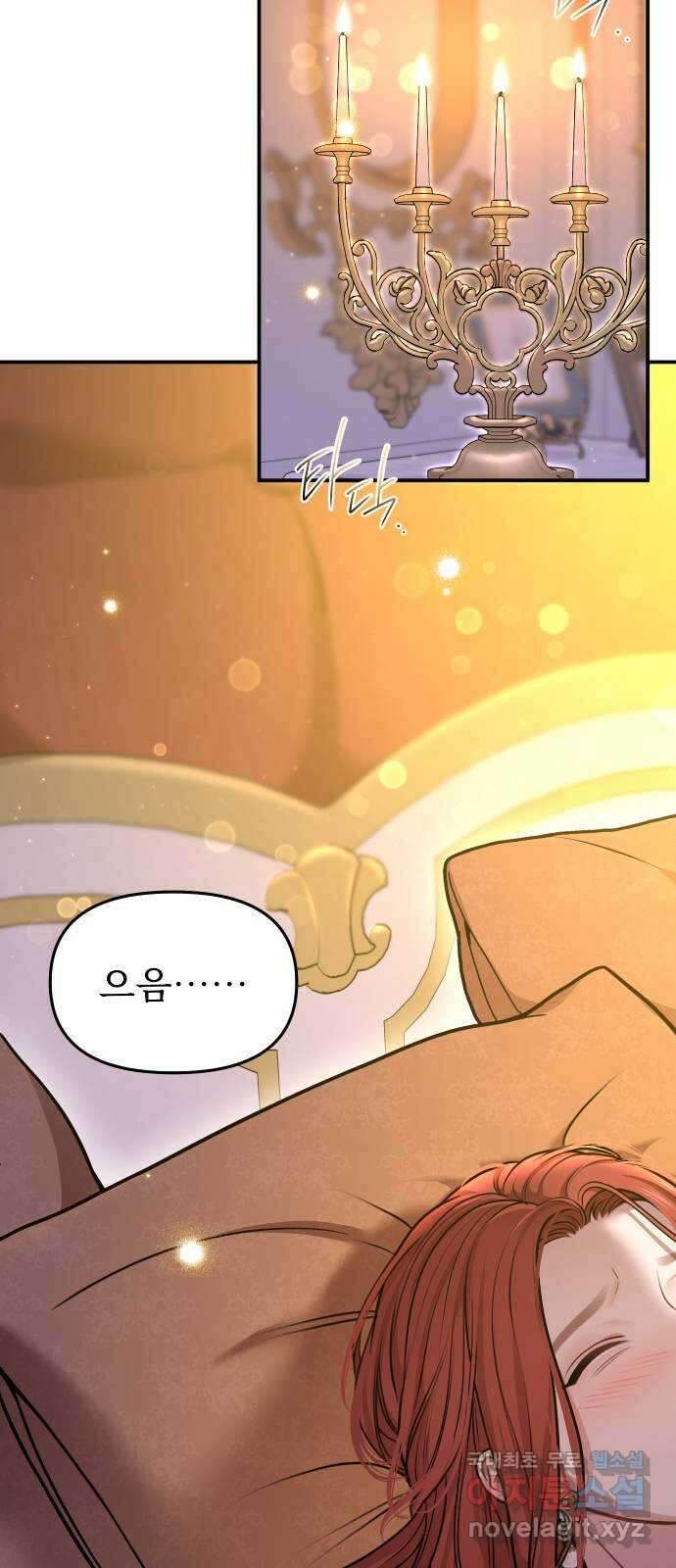 버림받은 왕녀의 은밀한 침실 32화. 저는 하자 있는 사람이 아닙니다 9