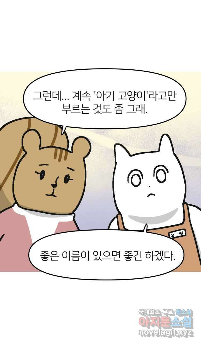 애옹식당 59화 수척해진 고슴 40