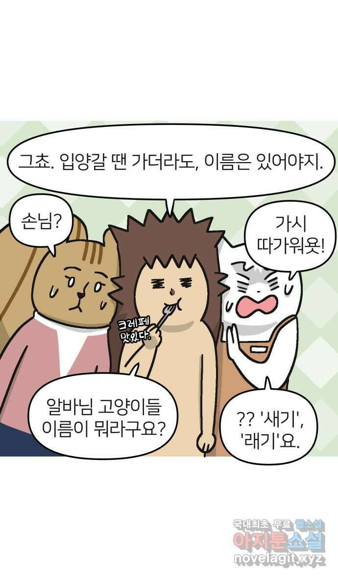 애옹식당 59화 수척해진 고슴 41