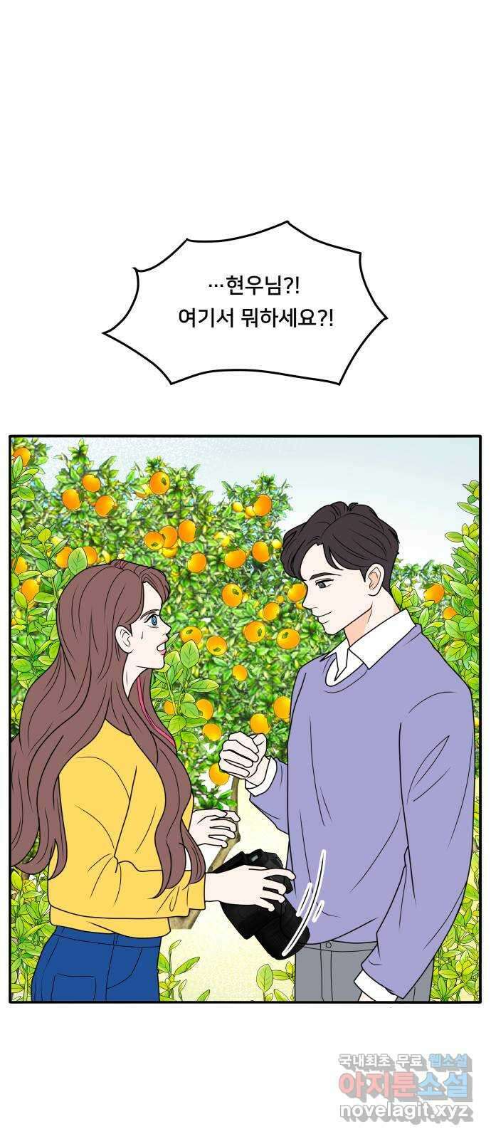 간 떨어지는 출근 6화: 감귤나무 사랑 걸렸네 1