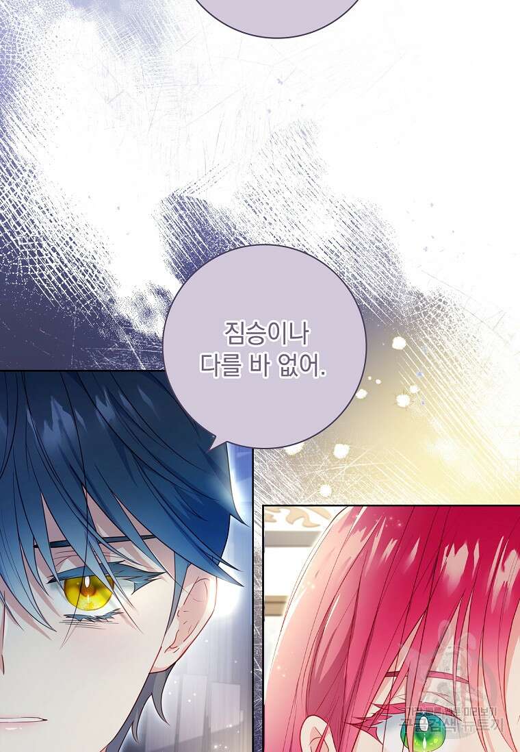내 남편은 내가 정한다 17화 81