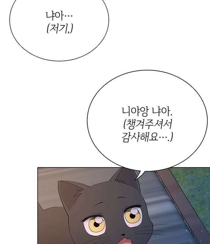 고양이 키스 2화 16