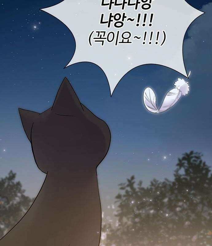 고양이 키스 2화 23