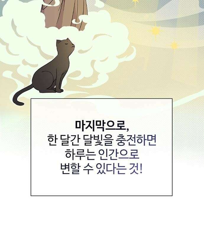 고양이 키스 2화 31