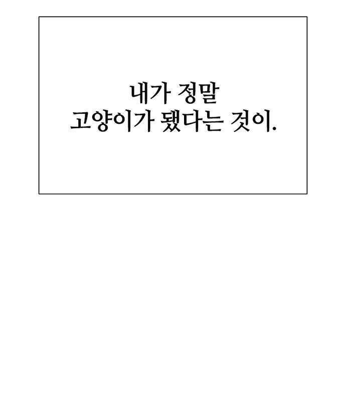 고양이 키스 2화 41