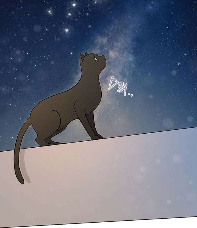 고양이 키스 2화 46