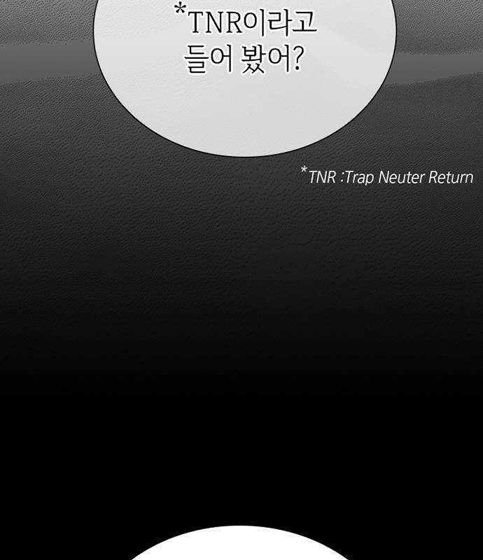 고양이 키스 2화 75