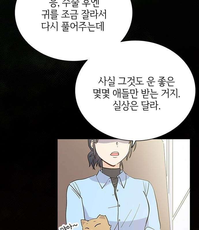 고양이 키스 2화 78