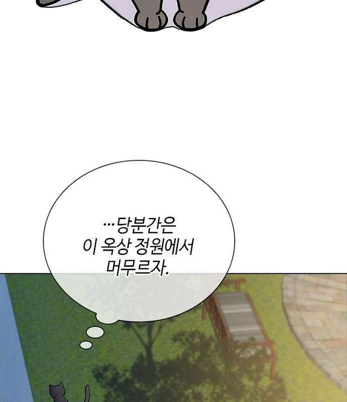 고양이 키스 2화 82
