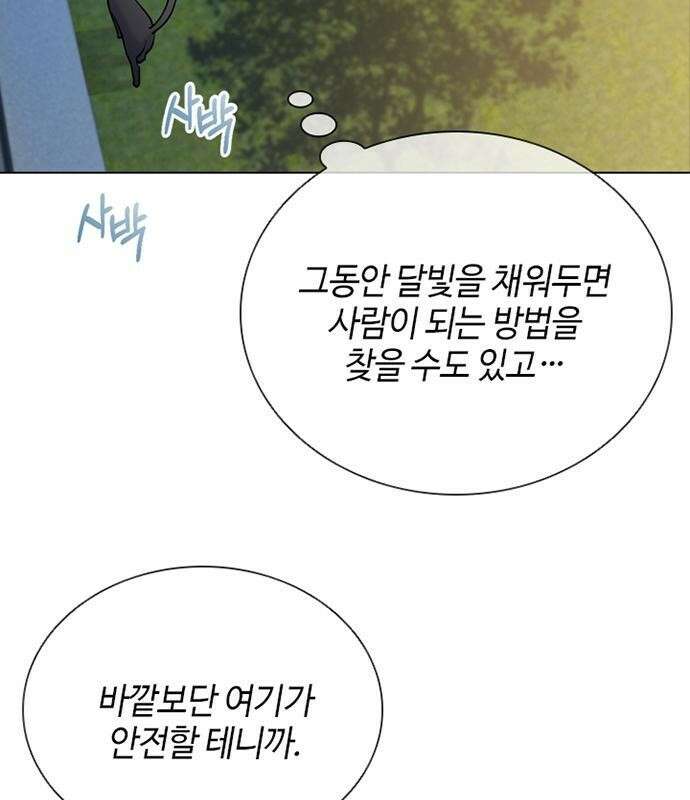 고양이 키스 2화 83
