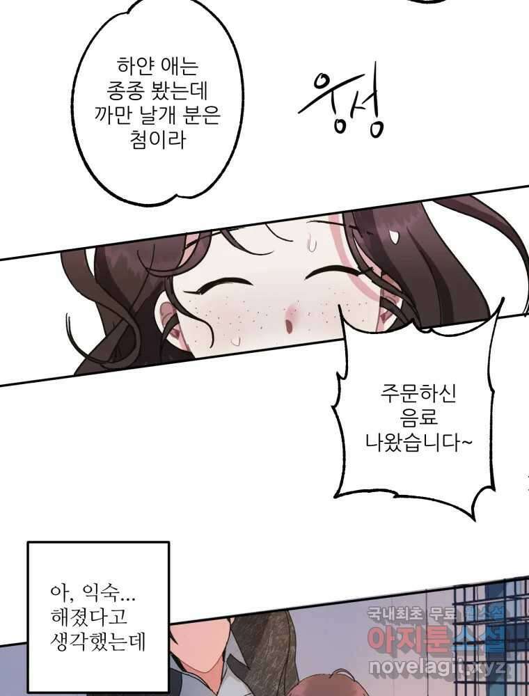제비가 낮게 날면 14화 비행연습4 20