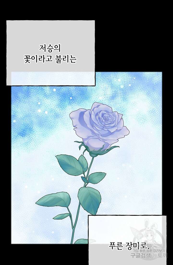 나를 사랑하지 않는 그대에게 84화 12