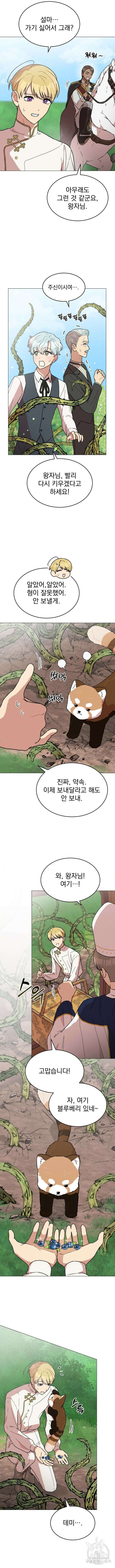 서브 남주가 파업하면 생기는 일 17화 11