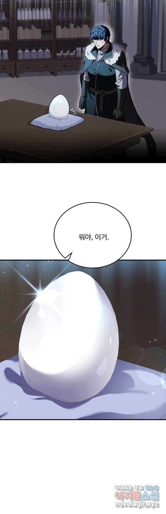 8서클 마법사의 환생 125화 29