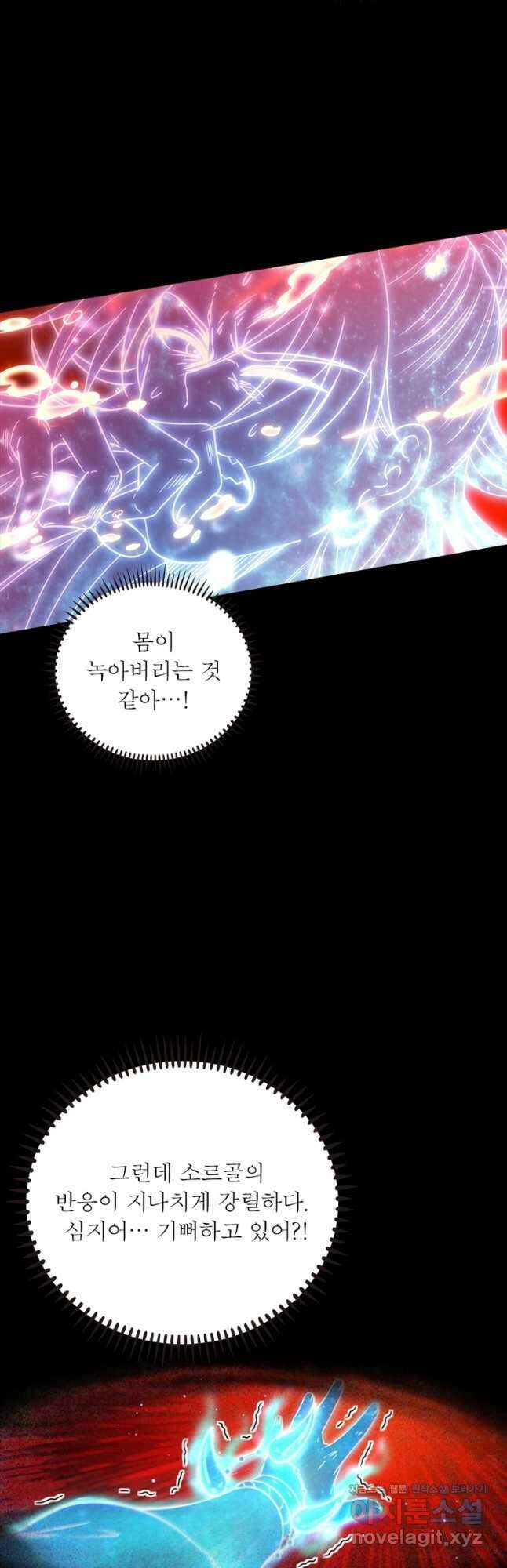 소르골 전기:천년전쟁 237화 29