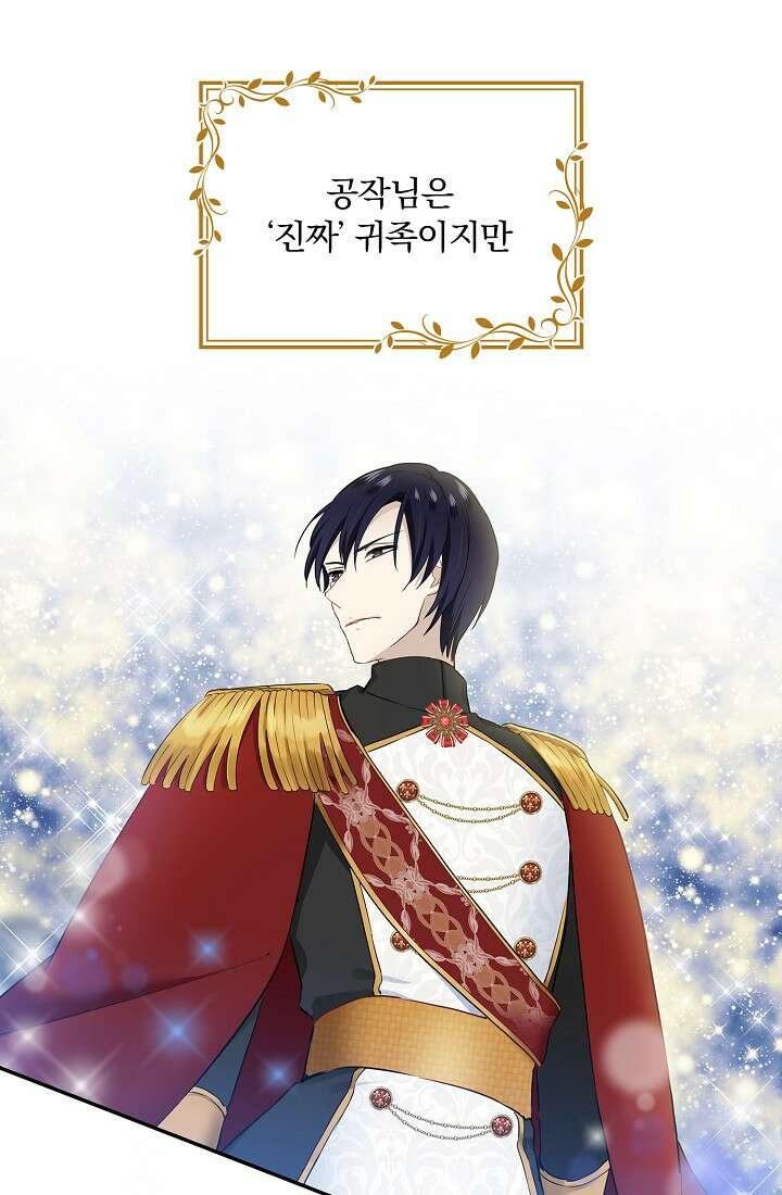 눌리타스 : 절반의 백작 영애 78화 8