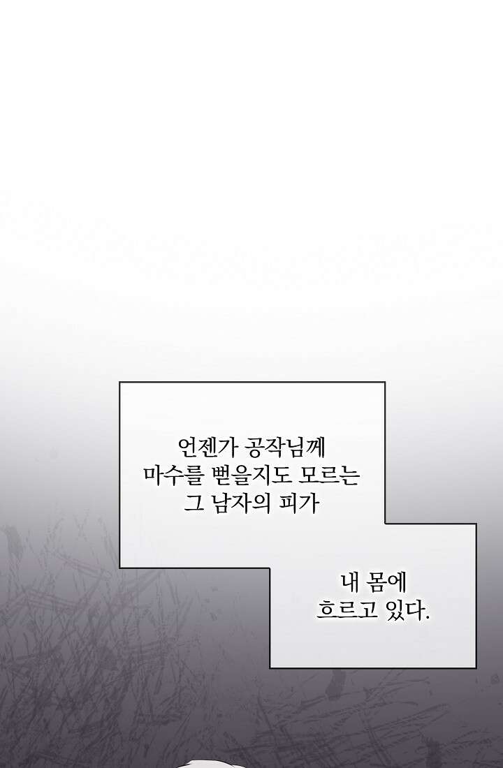 눌리타스 : 절반의 백작 영애 78화 14