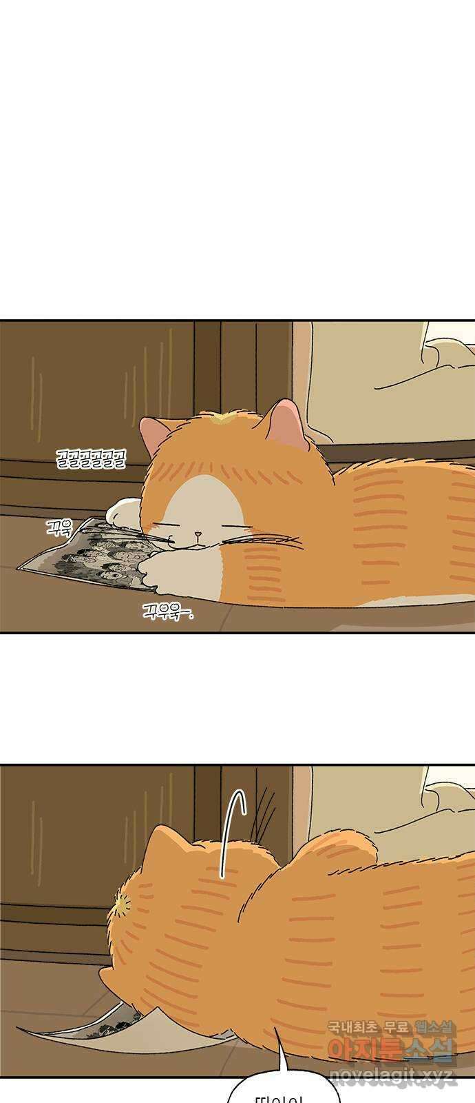 고양이 타타 12화 1