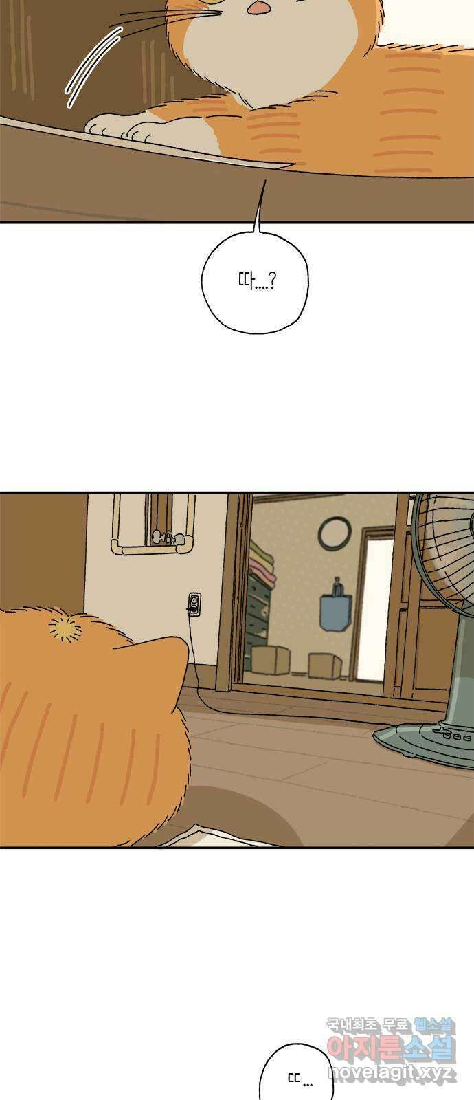 고양이 타타 12화 11