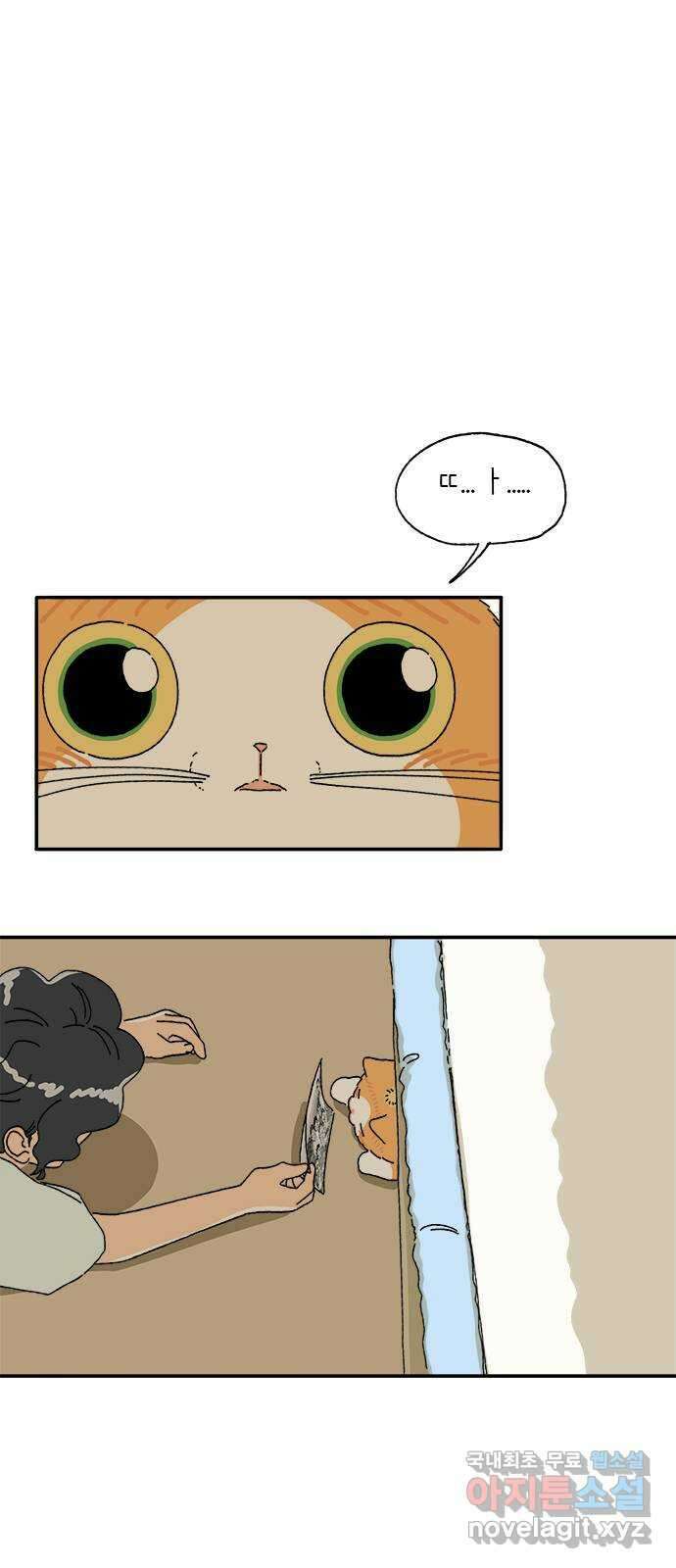 고양이 타타 12화 36
