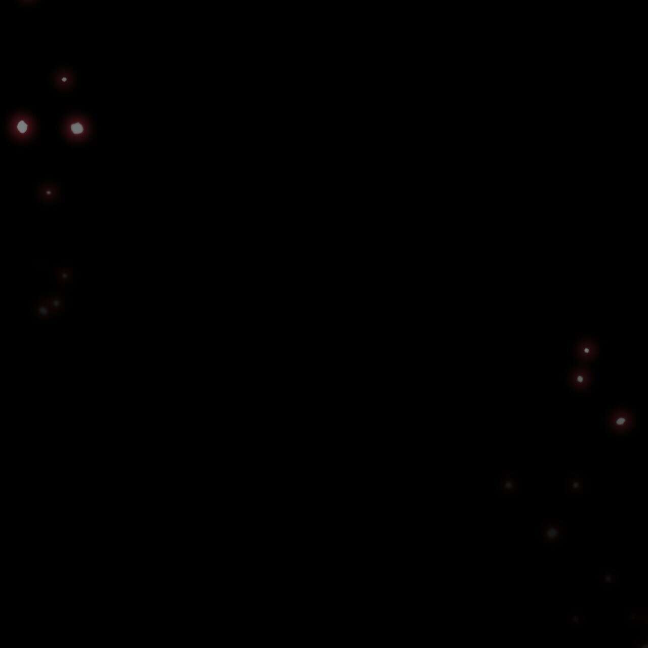 이스닐다 64화 36