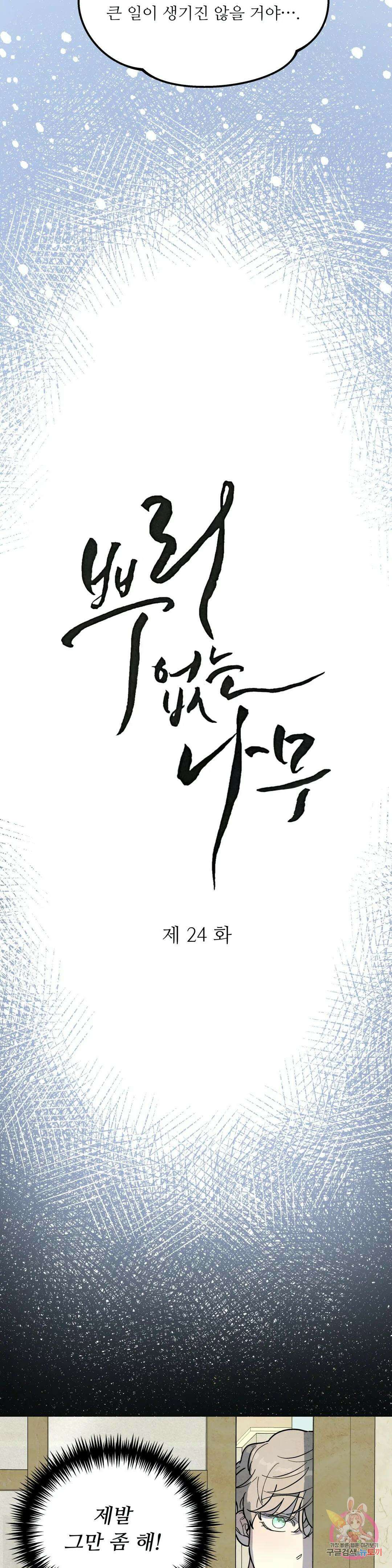 뿌리 없는 나무 24화 4