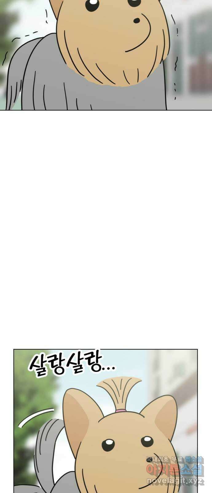 마루는강쥐 45화. 소원을 이루어줘 4