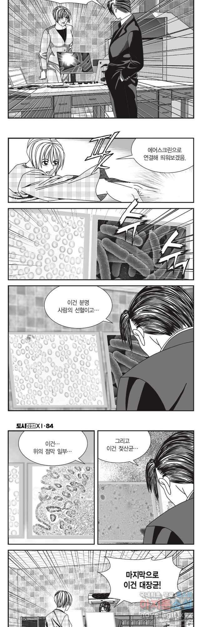 도시정벌 11부 252화 5