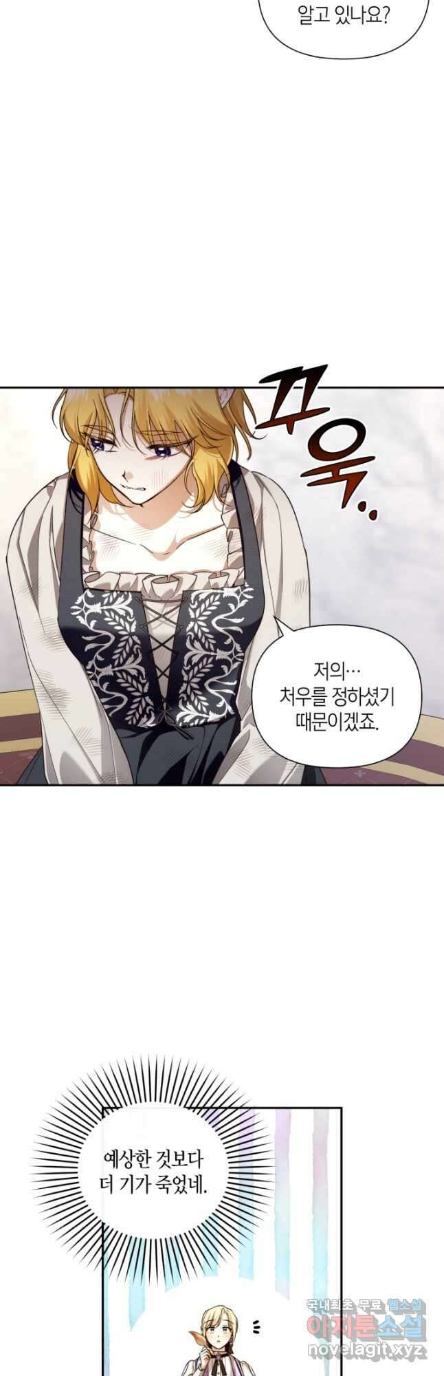 황제의 아이를 숨기는 방법 69화 3