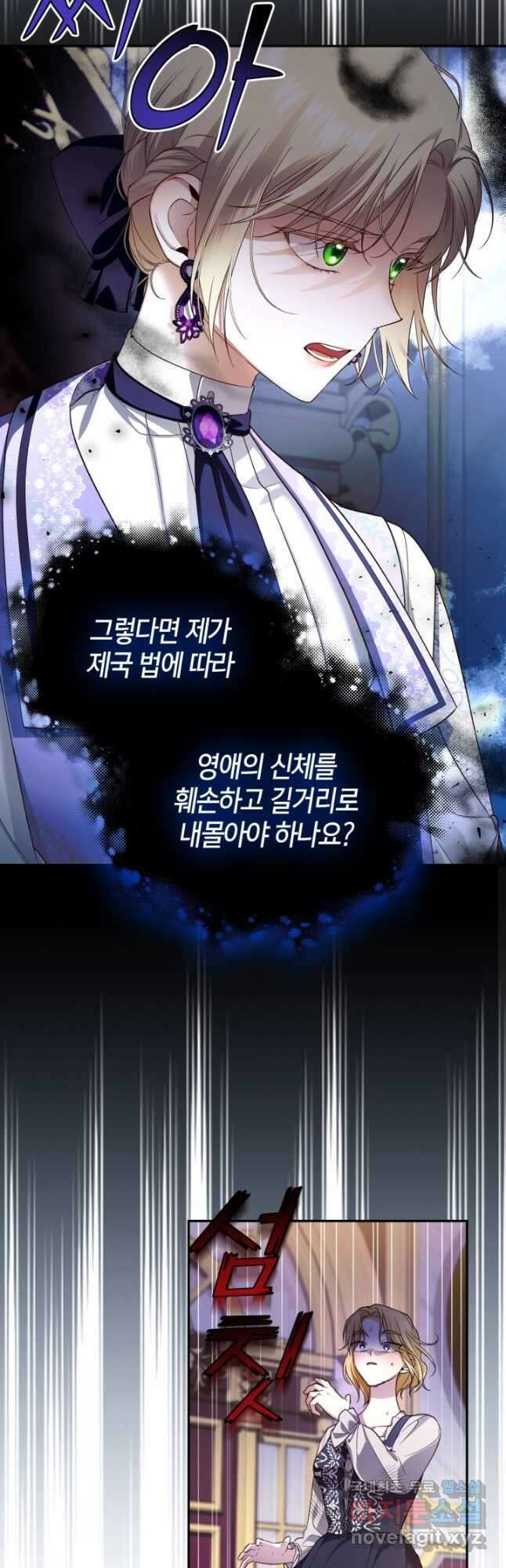 황제의 아이를 숨기는 방법 69화 10