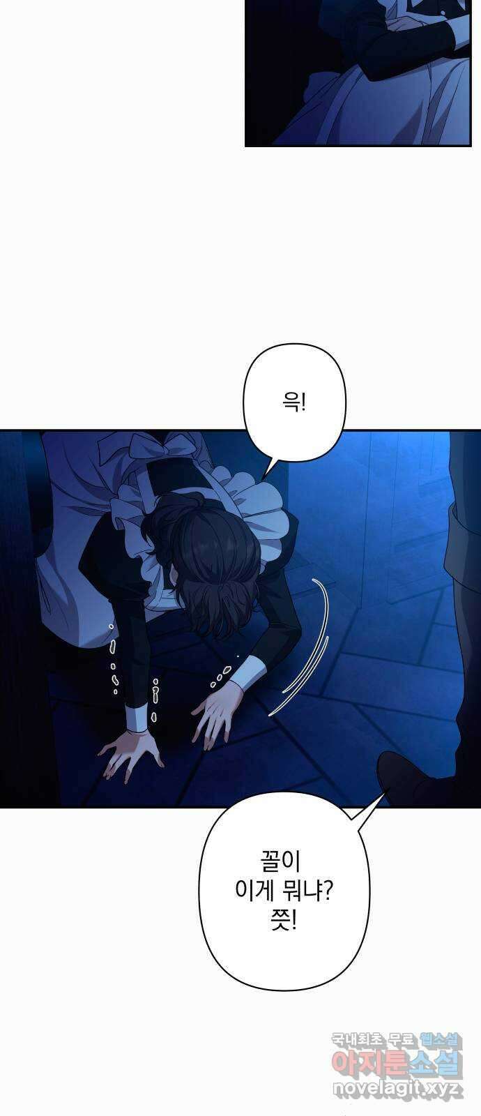 남편을 죽여줘요 43화 : 버려진 안주인의 그림자 37