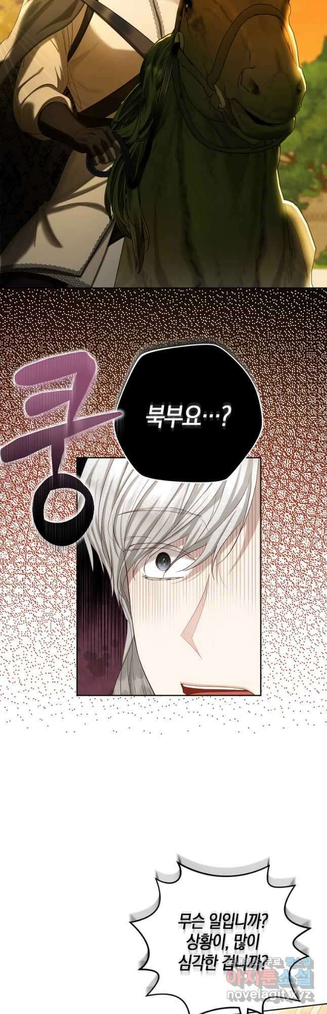 아쉴레앙 공작의 계약 결혼 67화 7