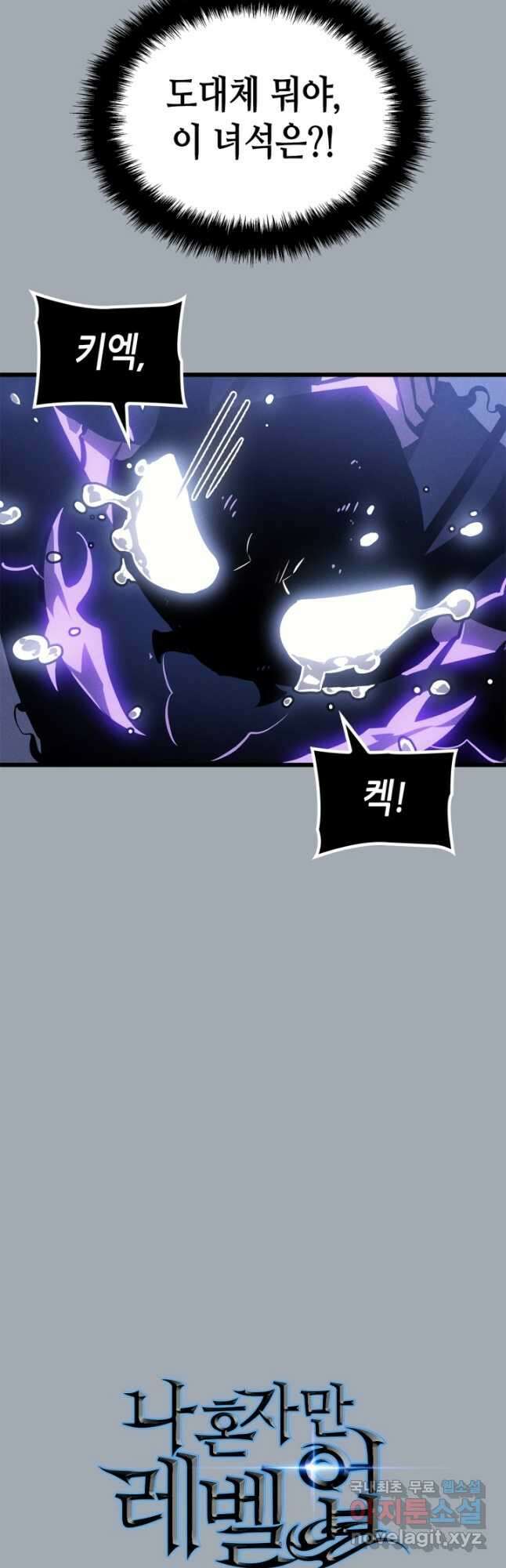 나 혼자만 레벨업 외전 18화 8