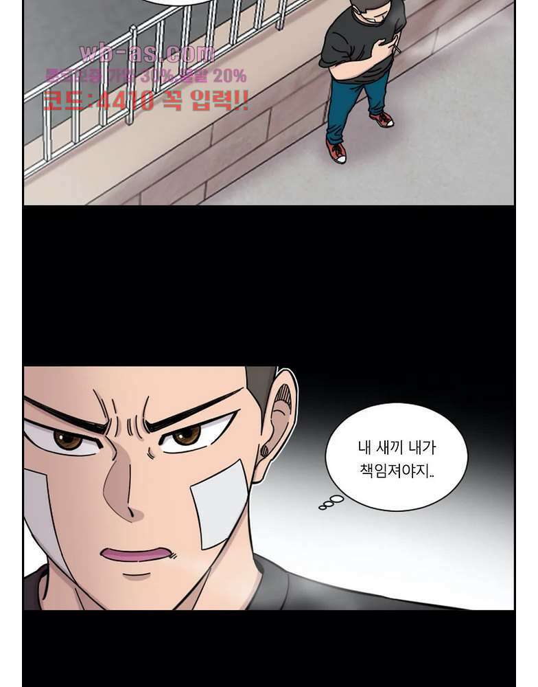 수컷의 경우 71화 9
